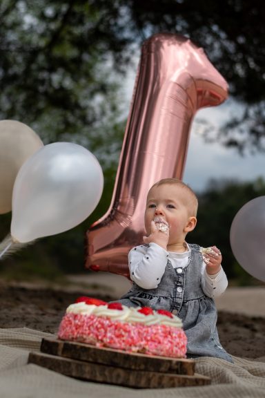 CakeSmash 3 © ByJSPR